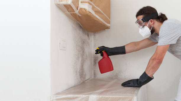 Professional Attic Mold Removal technician working in Highland Park, NJ